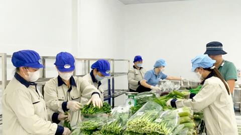 Khai thác “mỏ vàng” nâng tầm sản phẩm OCOP