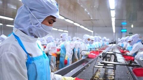 Nhiều doanh nghiệp thủy sản tăng tốc khai thác các thị trường mới