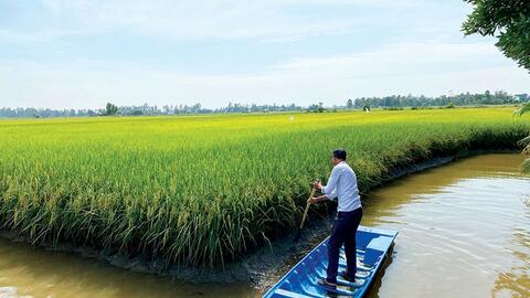 Cà Mau tạo đột phá hai mũi nhọn kinh tế: Phát triển năng lượng tái tạo và nông nghiệp sạch
