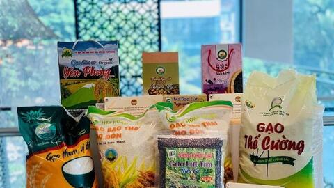 Những lưu ý quan trọng về quyền sở hữu trí tuệ khi doanh nghiệp thâm nhập thị trường Trung Quốc