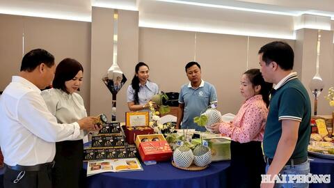 Đăng ký sở hữu trí tuệ - Chiến lược cạnh tranh cho sản phẩm chủ lực