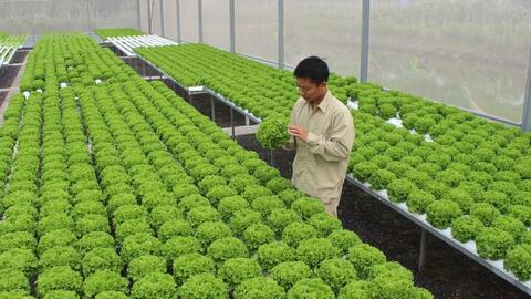 Nông nghiệp công nghệ cao “mở đường” tăng trưởng
