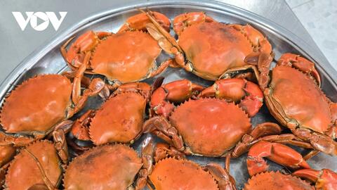 Nhiều giải pháp nhằm bảo vệ thương hiệu cua Cà Mau