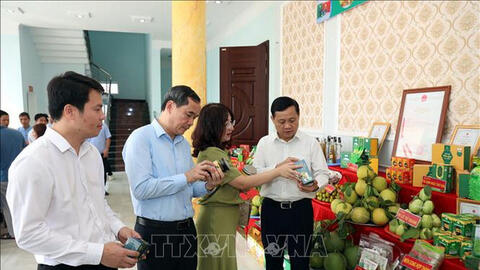 OCOP Tuyên Quang: Từ sản vật bản địa đến thương hiệu vùng miền