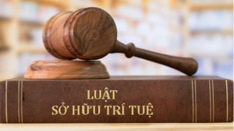 Hoàn thiện khung pháp luật sở hữu trí tuệ, thúc đẩy thương mại hóa tài sản sáng tạo