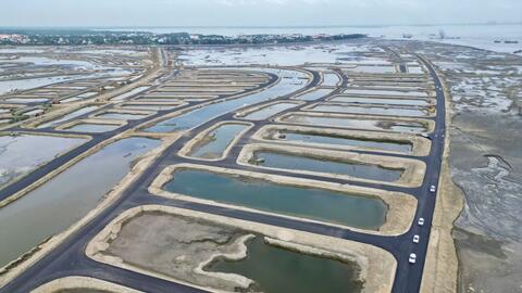 Vai trò của công nghệ xanh trong mô hình đô thị lấn biển