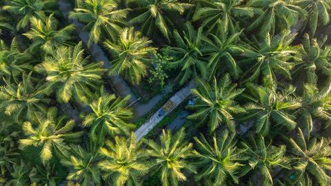 AgriS xây hệ sinh thái nông nghiệp tuần hoàn công nghệ cao