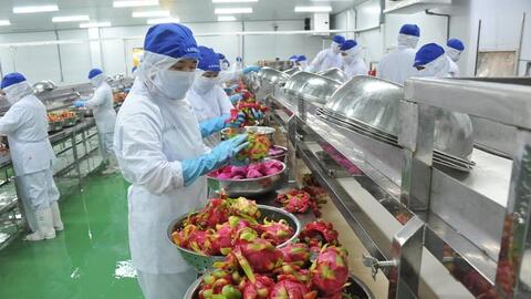 Lợi thế cạnh tranh của hàng Việt Nam xuất khẩu sang Israel