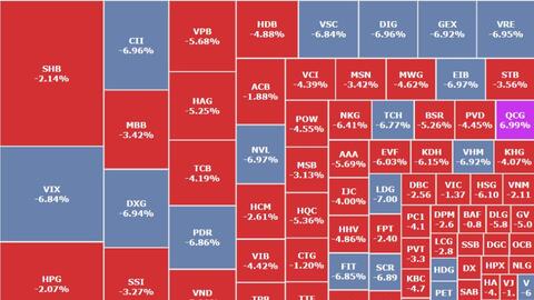 Thị trường "rơi thẳng đứng", cổ phiếu "đại gia phố núi" vẫn tím trần