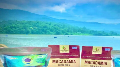 Điện Biên phát huy sở hữu trí tuệ, thúc đẩy chuyển giao công nghệ