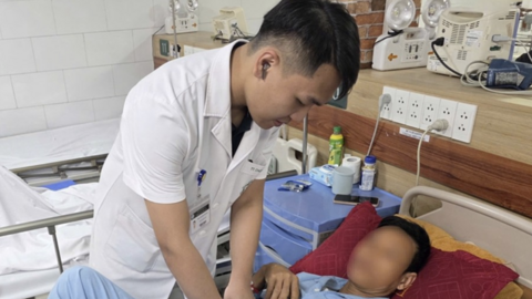 Uống mật cá ‘bồi bổ sức khỏe’, nhiều người tổn thương gan, suy thận