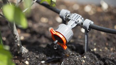 Công nghệ tưới hàng đầu thế giới có hiệu quả vượt trội tại Việt Nam