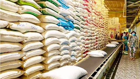 Từ xanh hoá sản xuất đến nâng cao lợi thế cạnh tranh cho hạt gạo Việt