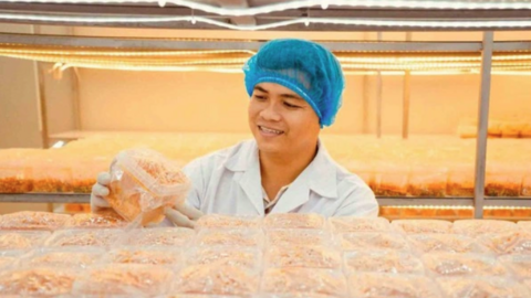 Thạc sĩ làm nông thời công nghệ: Thiết kế khí hậu để nuôi trồng nấm... khó tính