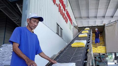 Việt Nam chủ động giảm lượng gạo xuất khẩu từ 2026