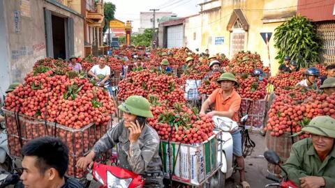 Sở hữu trí tuệ: Khi địa danh không còn là địa giới
