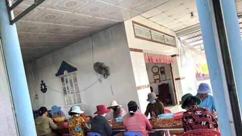 Liên kết vùng tạo lực đẩy cho doanh nghiệp Đồng bằng sông Cửu Long