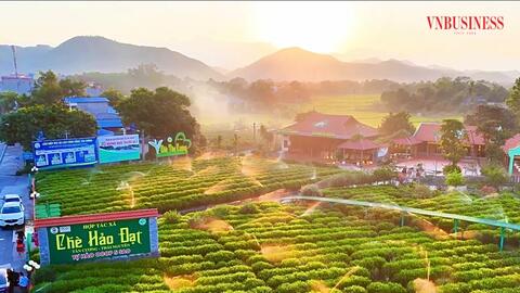 Tài sản trí tuệ: “Giấy thông hành” để HTX khẳng định vị thế trong chuỗi giá trị