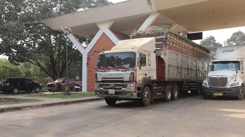 Thủ tướng chỉ đạo tháo gỡ ách tắc triển khai Nghị định 46/2026/NĐ-CP về an toàn thực phẩm