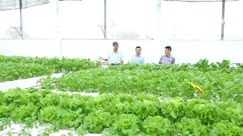 Nâng giá trị, sức cạnh tranh cho nông sản Thủ đô