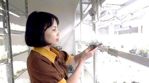 Công nghệ chỉnh sửa gen - cơ hội cho nông nghiệp Việt Nam