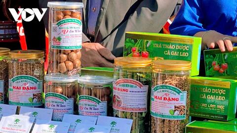 Hội Nông dân livestream kết nối thị trường Tết cho nông sản địa phương