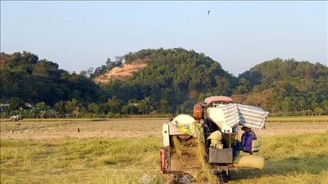 Hiện thực hóa Nghị quyết 57 bằng những cánh đồng công nghệ cao