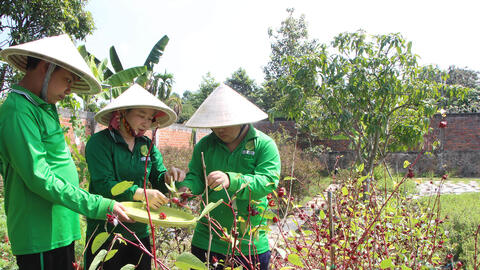 Giá trị kép từ sản phẩm OCOP