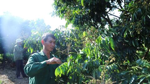 Chiềng Khương đồng hành cùng các hợp tác xã