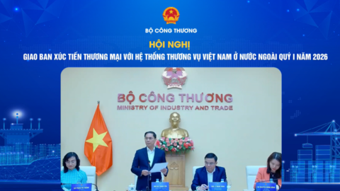 Nền tảng số thị trường nước ngoài - dữ liệu cho xuất khẩu hai con số