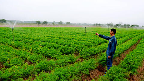 Ứng dụng công nghệ cao, nâng giá trị sản xuất nông nghiệp