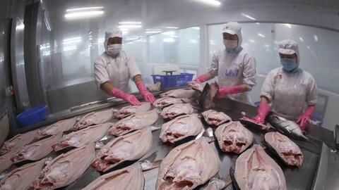 Việt Nam - Nga: Mở rộng dư địa, nâng tầm hợp tác thương mại