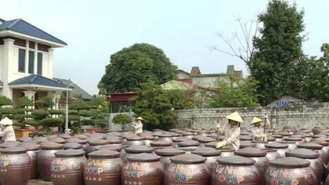 Thanh Hóa thúc đẩy OCOP: 674 sản phẩm đạt chuẩn, mở rộng kênh tiêu thụ