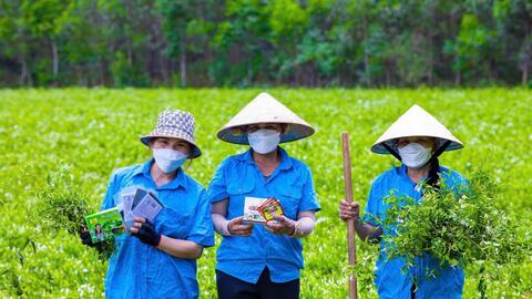 Xã Cam Lộ: Phát triển các sản phẩm OCOP