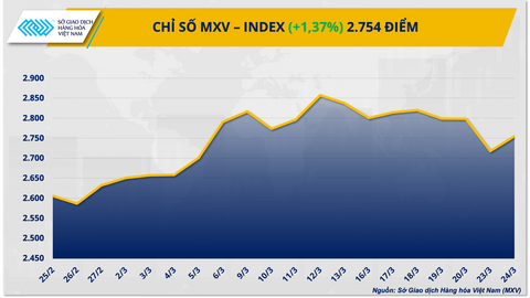 Thị trường hàng hóa: Lực mua áp đảo đẩy chỉ số MXV-Index tăng 1,4%