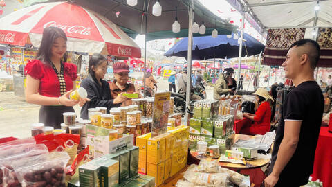 Mở rộng liên kết, quảng bá sản phẩm OCOP