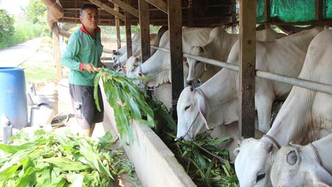 Lợi nhuận kép từ mô hình 2B