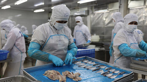 Doanh nghiệp thủy sản TP Hồ Chí Minh chủ động thích ứng với biến động thị trường