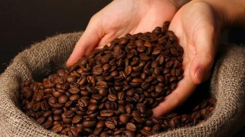 Thị trường cà phê đi ngang, nhà đầu tư chờ tín hiệu mới