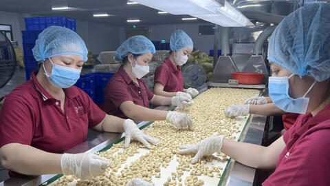 Thị trường Trung Quốc trở lại vị trí số một của nông sản Việt