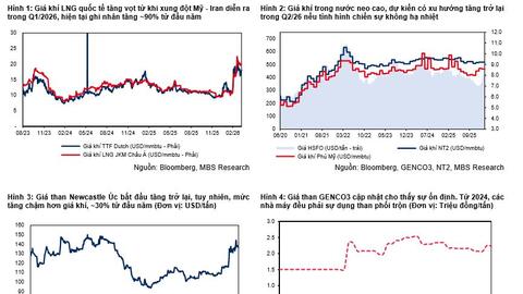 Ngành điện trước bước ngoặt 2026: Áp lực an ninh năng lượng và cơ hội từ chuyển dịch xanh