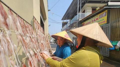 Từ mẻ cá quê đến thương hiệu OCOP: Hành trình “đánh thức” hải sản biển