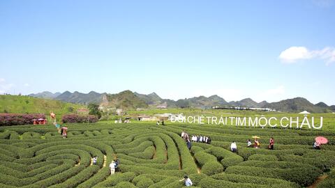 Xây dựng hệ sinh thái dịch vụ du lịch chuyên nghiệp