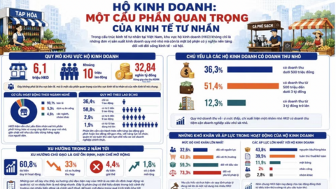 Hỗ trợ hiệu quả hộ kinh doanh