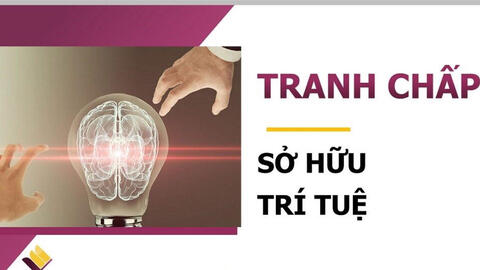 Doanh nghiệp đối mặt áp lực mới khi tranh chấp sở hữu trí tuệ bùng phát trên nền tảng số