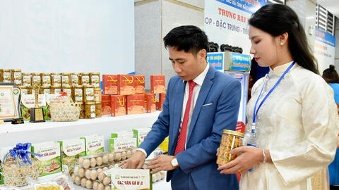 Nỗ lực tìm chỗ đứng cho thương hiệu gà đồi Yên Thế