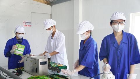 Phát triển hợp tác xã và OCOP làm trụ cột kinh tế nông thôn