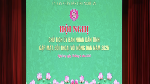 Lý do thương hiệu cam Vinh xuống dốc