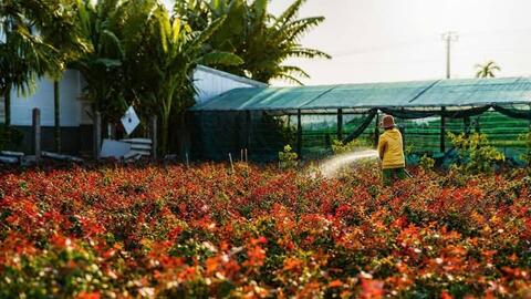 Hoa Nghĩa Hiệp nâng tầm thương hiệu bằng sản xuất tập trung và chuyển đổi xanh