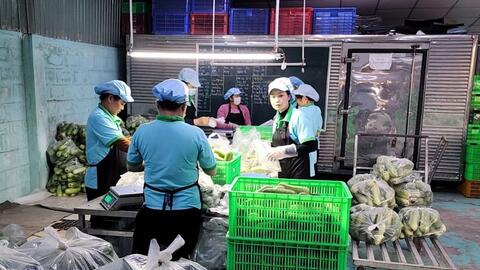 Sở hữu trí tuệ – chuyển đổi số: “đòn bẩy kép” nâng tầm giá trị từ cánh đồng Mỹ Thạnh